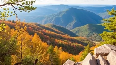 Photo of Лучшие маршруты для пеших прогулок в Виргинии