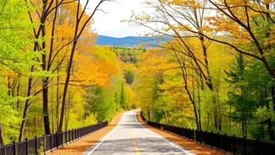 Photo of Маршруты для автопутешествий по Виргинии