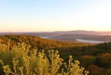 Photo of Исследуйте красоту Вирджинии